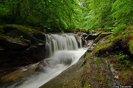 Birks of Aberfeldy Aberfeldy, GBR, Highland Ward, Scotland, United Kingdom, Birks Of Aberfeldy, canopy, Großbritannien, Vereinigtes Königreich, Schottland, Grossbritannien, Vereinigtes Koenigreich