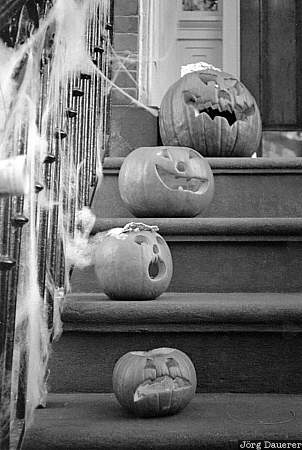 Halloween in NY Halloween, Pumpkin, Manhattan, New York, stairs, autumn, carved, United States, USA, Vereinigte Staten, NY, New York City, Big Apple